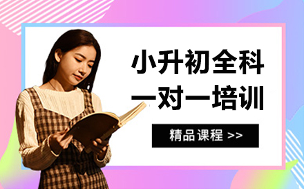 上海小(xiǎo)升初全科(ke)一(yi)對一(yi)箇(ge)性化輔導(dao)課程(cheng)