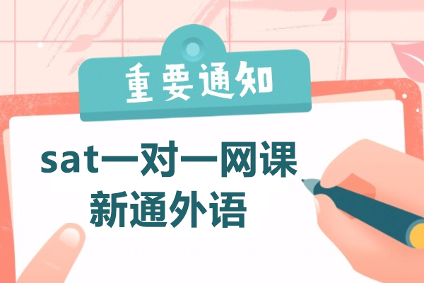 上海sat一(yi)對一(yi)網課-新(xin)通(tong)外語